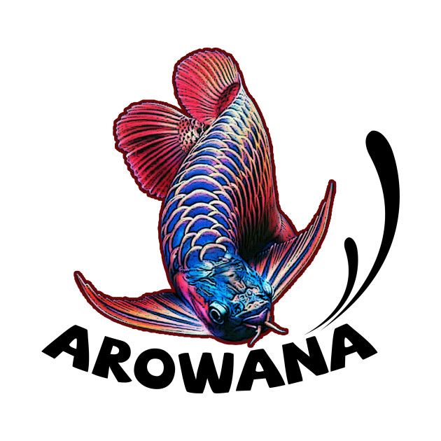 Arowana Fish For Sale