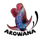 Arowana Fish For Sale